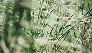 Како направити амајлију за срећу својим рукама