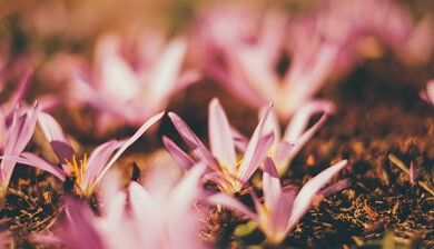 како направити амајлију за срећу својим рукама